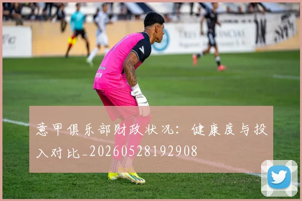 意甲俱乐部财政状况:健康度与投入对比_20260528192908
