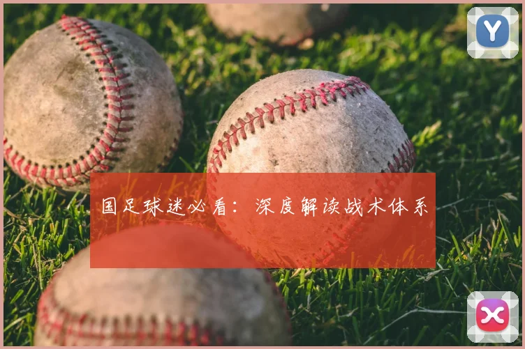 国足球迷必看:深度解读战术体系