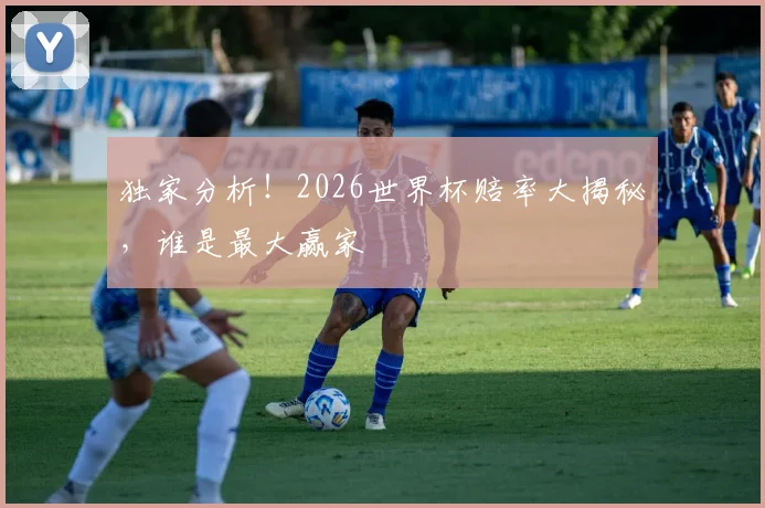 独家分析!2026世界杯赔率大揭秘,谁是最大赢家