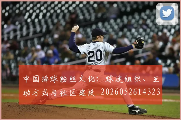 中国排球粉丝文化：球迷组织、互动方式与社区建设_20260526143235
