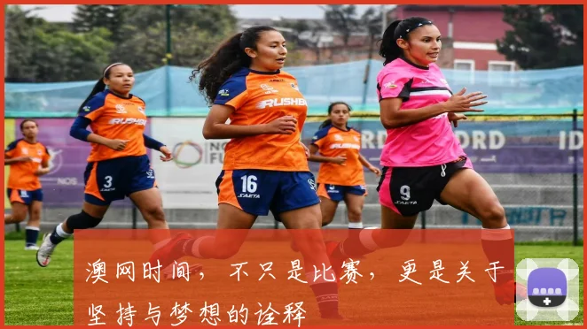 澳网时间，不只是比赛，更是关于坚持与梦想的诠释