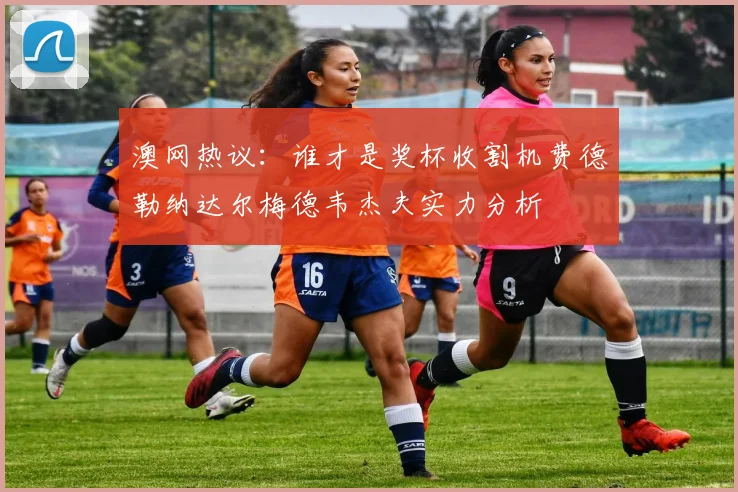 澳网热议:谁才是奖杯收割机费德勒纳达尔梅德韦杰夫实力分析